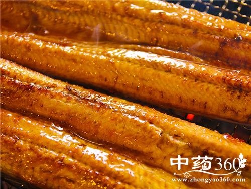 鳗鱼的营养价值 鳗鱼的家常做法