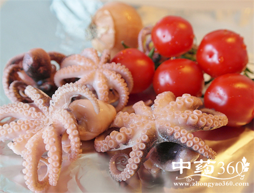 鱿鱼的营养价值 鱿鱼的家常做法