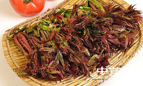 春季清火 这些蔬菜不能少