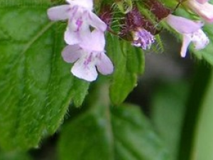 ���ݵĹ�Ч������