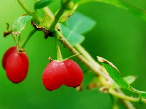 ��������Ĺ�Ч������