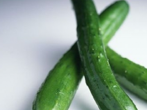 �����ƹϻ����ĺô�������