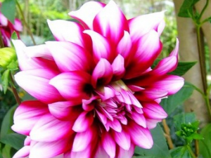 �����յĹ�Ч������