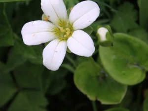 ����÷���ݵĹ�Ч������