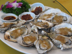 ĵ�õ�Ӫ����ֵ�빦Ч