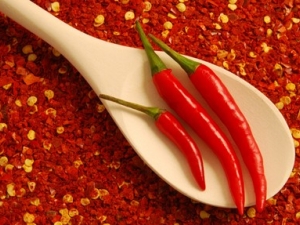 ����ҩ���ܳ�ʲôʳ��