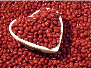 �춹��Ӫ����ֵ��ʳ�ù�Ч