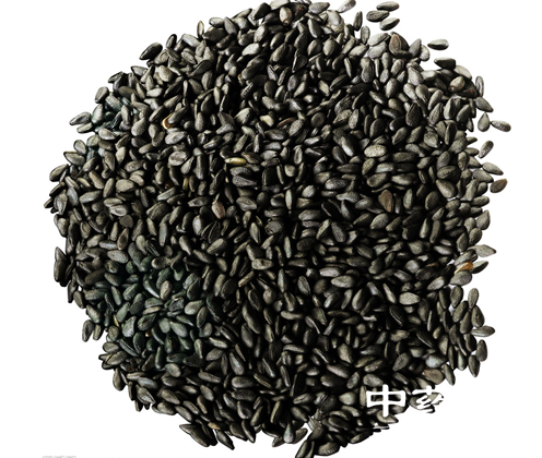 芝麻的营养价值与功效