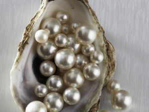 �������ʵ�Ů�Բ��˳��ڷ��������