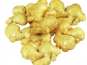 �����β���ע��