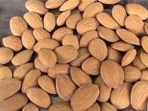 �и���ҩ�Ľ���