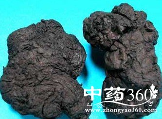 熟地服用有四个禁忌