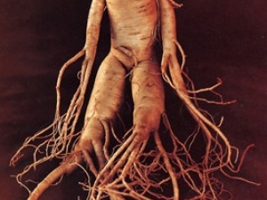 �˲εĹ�Ч����÷���