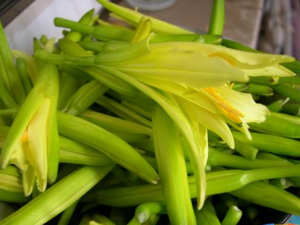 �ƻ��˵�Ӫ����ֵ�����