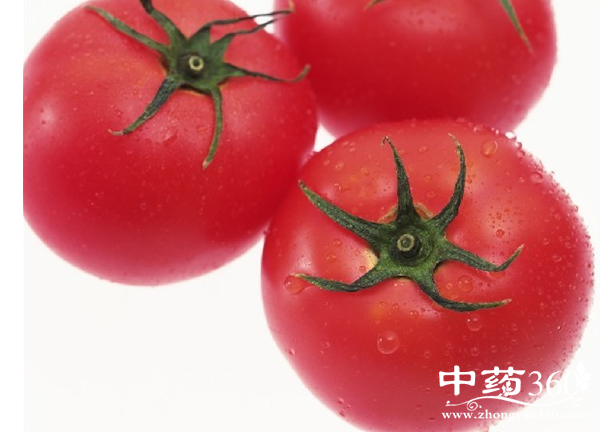 西红柿的营养价值与食疗价值