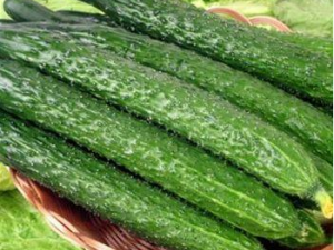 �ƹϵ�Ӫ����ֵ��ʳ�ù�Ч