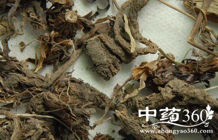 <a href='https://www.zhongyao360.com/z/huoxiang/' target='_blank'>޽</a>ˮ3