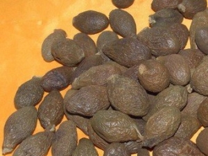 ���˳��ڷ��õ���ҩ