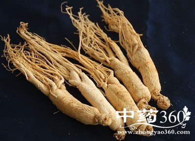 七类人群不宜服用人参大补