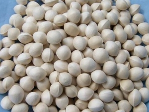 ���ֲ����ڳ�����ҩ���ʳ��ʳ��