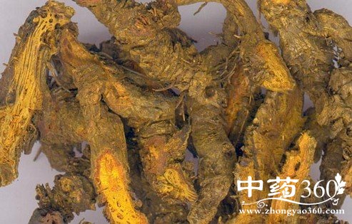 ˫<a href='https://www.zhongyao360.com/z/huanglian/' target='_blank'></a>ɴ