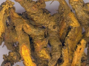 ��˫�����ɴ���