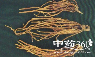 龙胆酊等苦味健胃药忌甜味食物