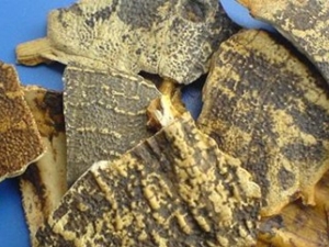 ������ҩ�Ľ���