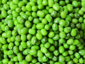 �����ܲ��ܳ��̶�