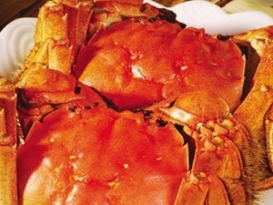 ����ҩ�Ľ���