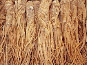 ������ҩ��ǰ����