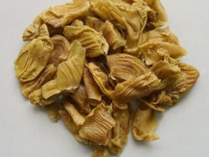 ���ڽ������