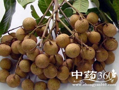 活血中药慎用产后女性