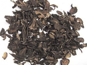 ������ҩ���˳��ڷ���