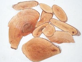 ������ҩ����