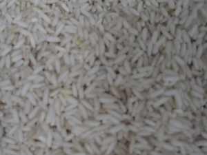 ����ҩ��������