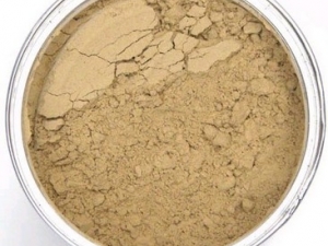 ���߷۵Ľ���