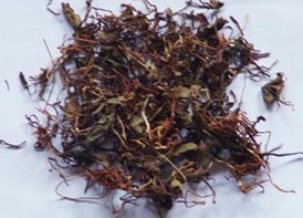 �˲η�޼«��η����֬�������Լ�ͬ��