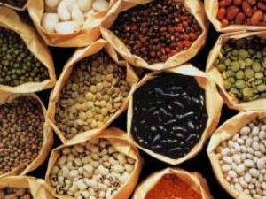 ţƤѢ�Ľ���