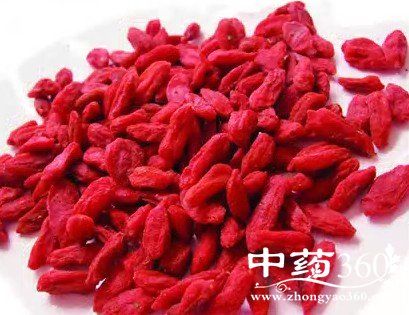 枸杞延缓衰老 哪三类人不适宜食用