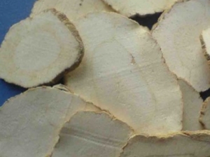 �ü������������в�ҩ