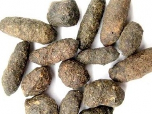 �������ɳ��� �ܺ���ϴ��ҩЧ