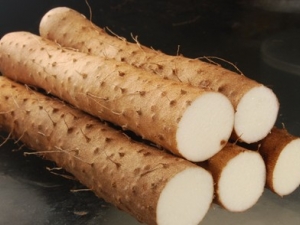 �ļ���ҽ��֤���