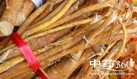 半把伞的药用价值与功效