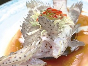 ����ֹ��ҩ��Ҫ����