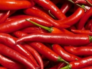 ƽʱҪ֪���Լ��ܲ��ܳ���