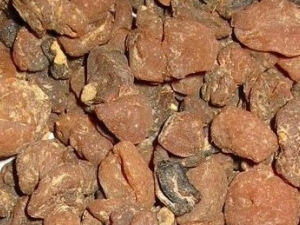 ��Щ�в�ҩ��ɱ����