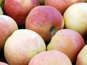 �ո���ƻ����Ҫע��