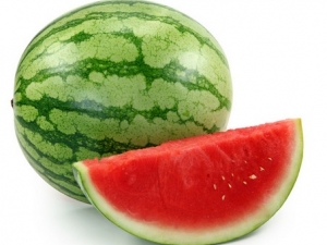 ������Ӧ���ٳԻ��߽�������