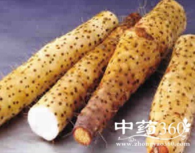 中药补身,强身健体